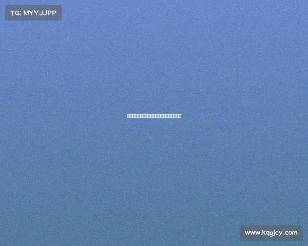 谢什科或许超越哈兰德成为未来足坛新星引关注