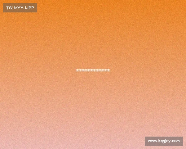 维萨预计将于周二回归布伦特福德训练并恢复备战